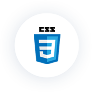 CSS icon